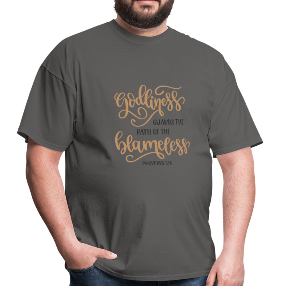 Proverbs 13:6 - Men's T-Shirt - charcoal