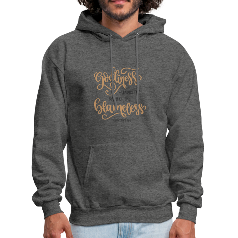 Proverbs 13:6 - Men's Hoodie - charcoal gray