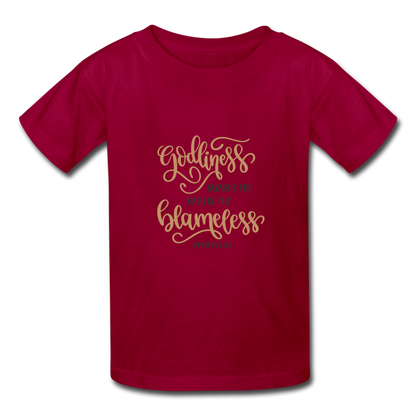 Proverbs 13:6 - Youth T-Shirt - dark red