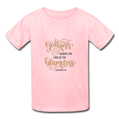 Proverbs 13:6 - Youth T-Shirt - pink
